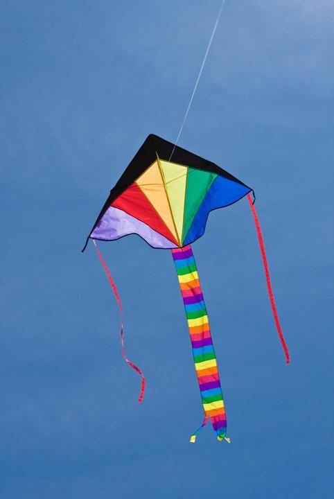 Actual product image Invento Kites Simple Flyer Rainbow