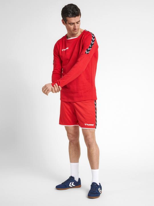 Actual product image hummel Authentic Training Sweat (S)