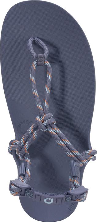 Actual product image Xero Shoes Genesis (38.5)