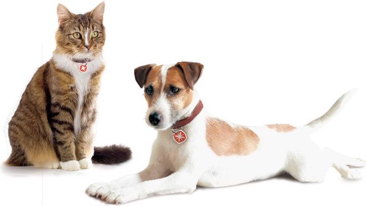 Image du produit Anibio Tic-Clip (Chat, Chien)