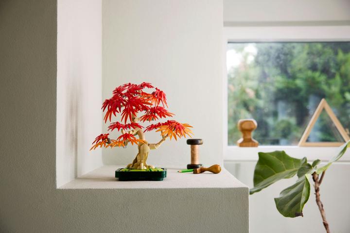 Actual product image LEGO Japanischer Roter Ahorn - Bonsai-Baum (10348, LEGO Botanical)