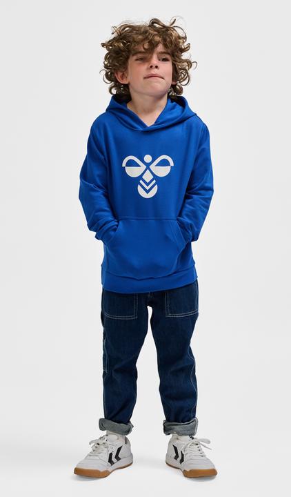Actual product image hummel hmlCUATRO HOODIE (134)