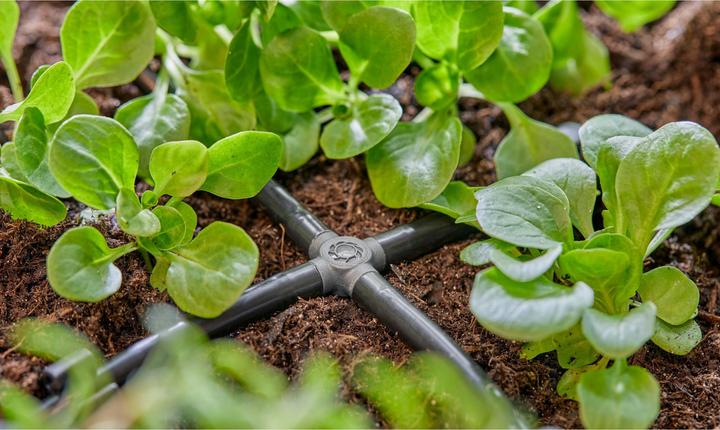 Produktbild Gardena Micro-Drip-System Kreuzstück (Tropfbewässerung Verbinder + Abzweiger)