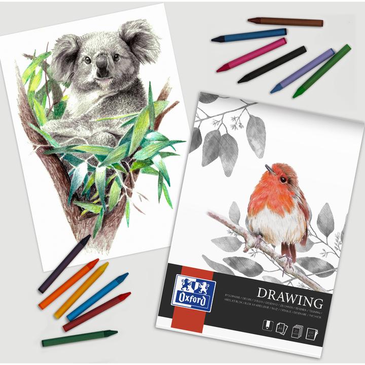 Immagine prodotto Oxford Blocco da disegno (A3, Nessuna, Copertina morbida)