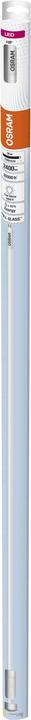 Actual product image Osram Led Tube (G5, 16 W, 2400 lm, 1 x, D)