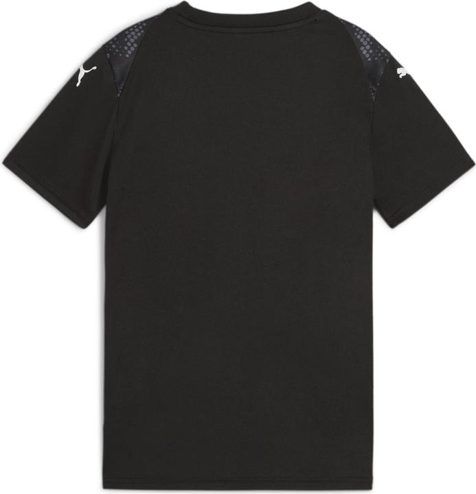 Actual product image Puma teamULTIMATE Jersey Jr (116)