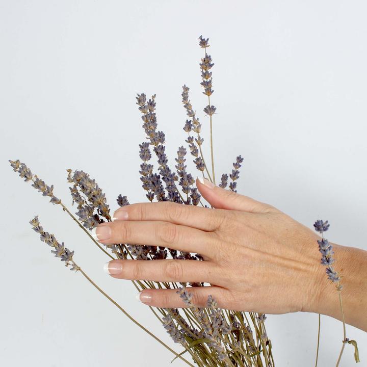 Image du produit Vargu grafics (Ongles artificiels, grafics)