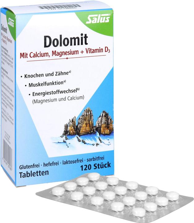 Image du produit Salus Dolomit magnesium calcium vitamin d3 cpr (120 pièce(s), Cachets, 113 g)