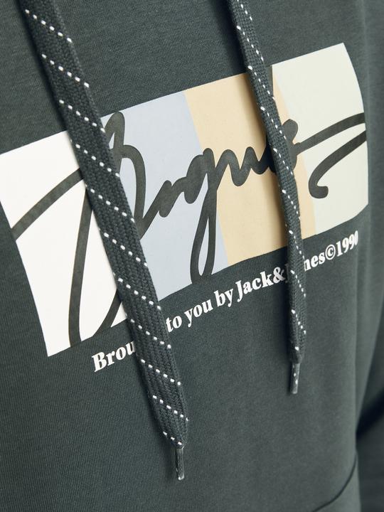 Actual product image Jack & Jones Jorportland Block Sweat Hood Ln (S)
