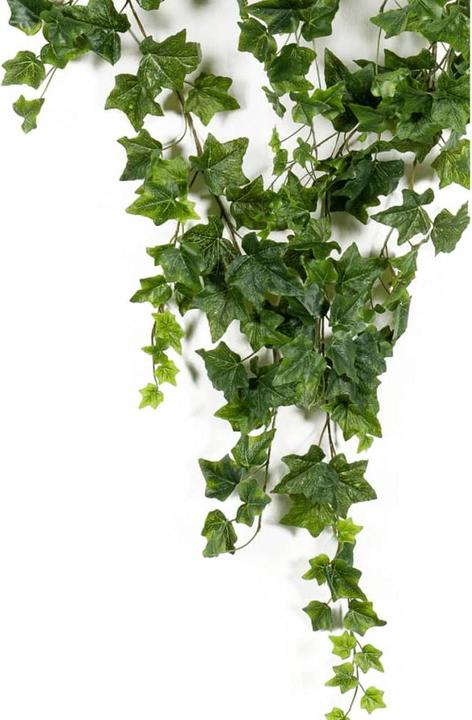 Actual product image Emerald Artificial plant (180 cm)