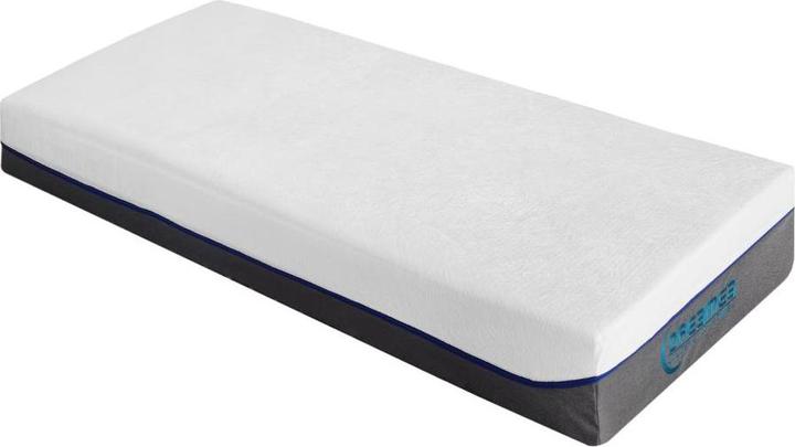 Actual product image Dreamea Dionysos
