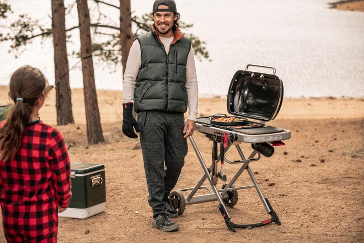 Image du produit Weber Voyageur (3.80 kW)