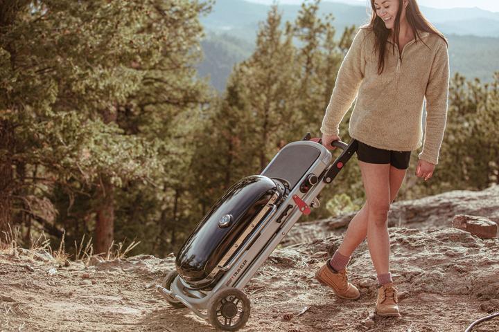 Image du produit Weber Voyageur (3.80 kW)