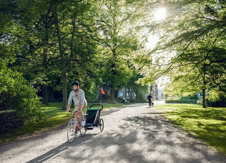 Produktbild Thule Chariot Lite 1