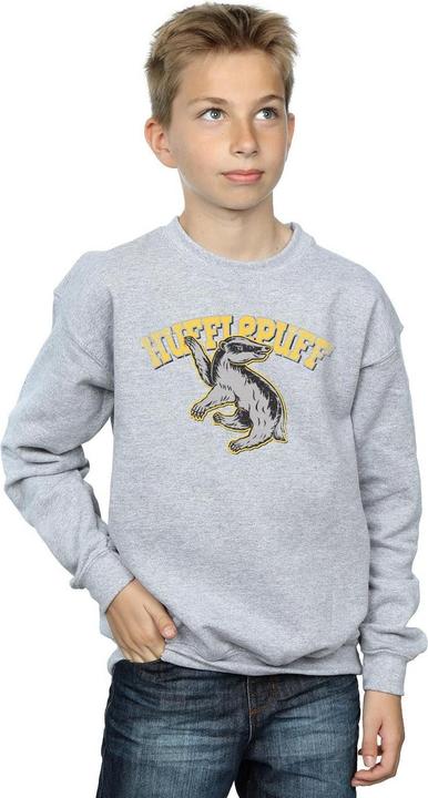 Image du produit - Sweat HUFFLEPUFF SPORT EMBLEM - Garçon (152, 158)