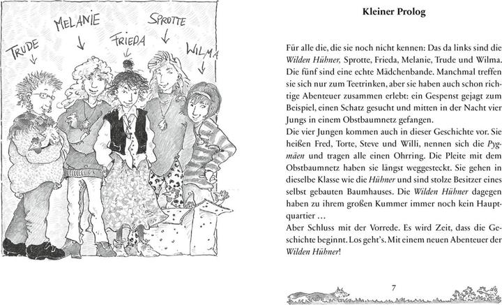 Immagine prodotto Die Wilden Hühner 3. Fuchsalarm (Tedesco, Imbuto Cornelia, 2021)