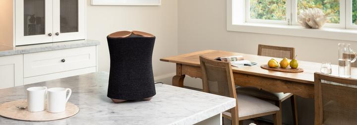 Actual product image Sony SRS-RA5000 (Bluetooth, NFC, Wi-Fi)
