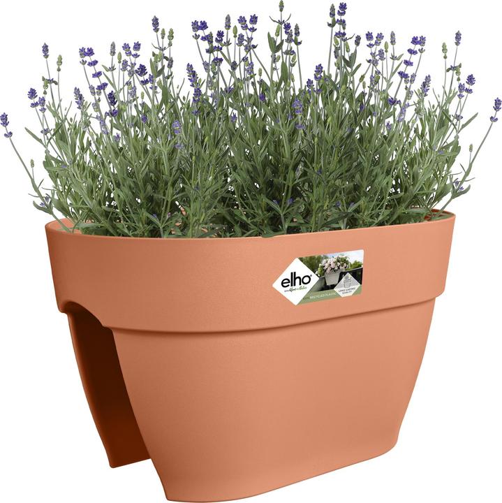 Image du produit Elho Vibia Campana Flower Bridge (26 cm)