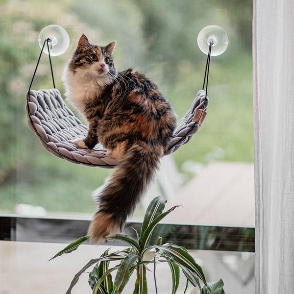 Image du produit EBI Lit fenêtre Sofia (Chat)