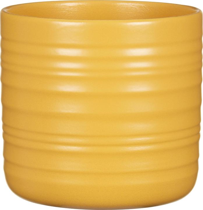 Actual product image Scheurich Cottage, ceramic flower pot, colour: curcuma, 16.6 cm diameter, 15.3 cm high, 2.6 l (16.60 cm)