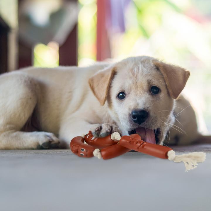 Actual product image Relaxdays Sausage Rope Chew Toy for Dogs (Tug toy dog)