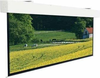 Produktbild Projecta Elpro Large Electrol 316x500 MW 16:10 no Border (227", 16:10)