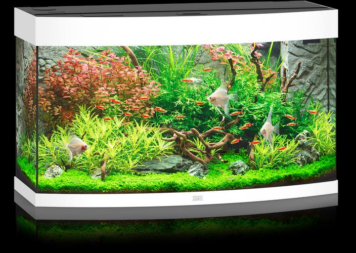 Image du produit Juwel Aquarium Aquarium Vision 180 92x41x55cm blanc (180 l)