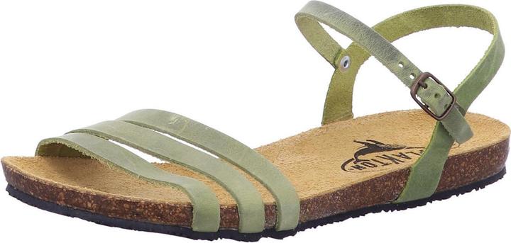 Actual product image Plakton 575080 PISTACIO (40)