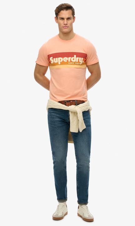 Produktbild Superdry Lässiges Terrain T-Shirt mit Streifen und Logo (M)
