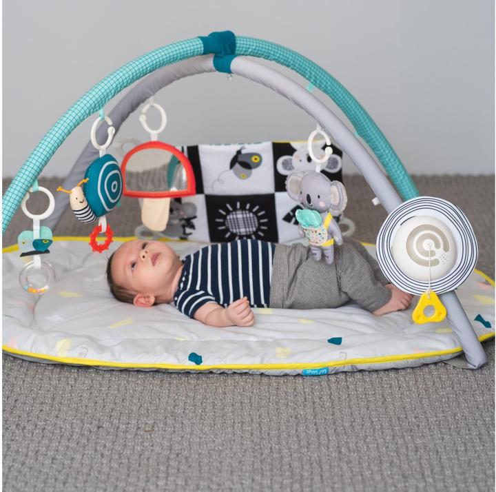 Actual product image Taf Toys All Around Me