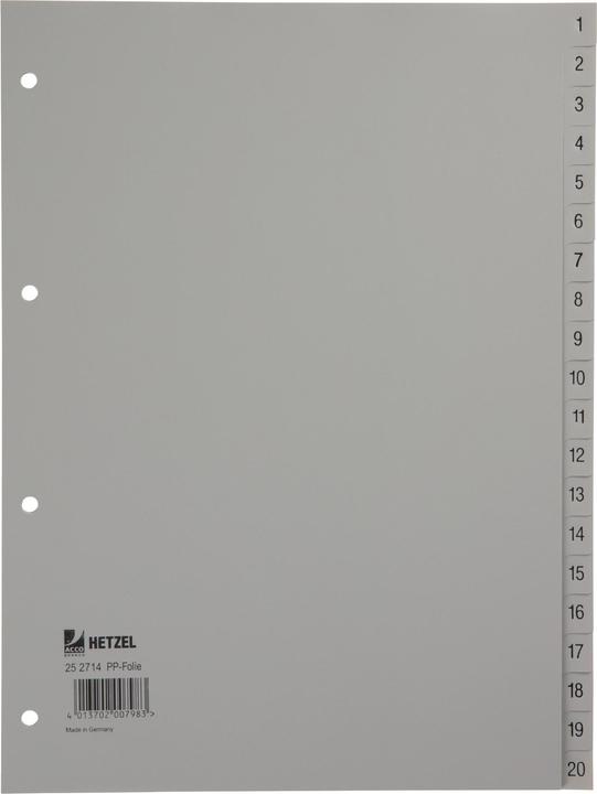 Actual product image Rexel Plastic register