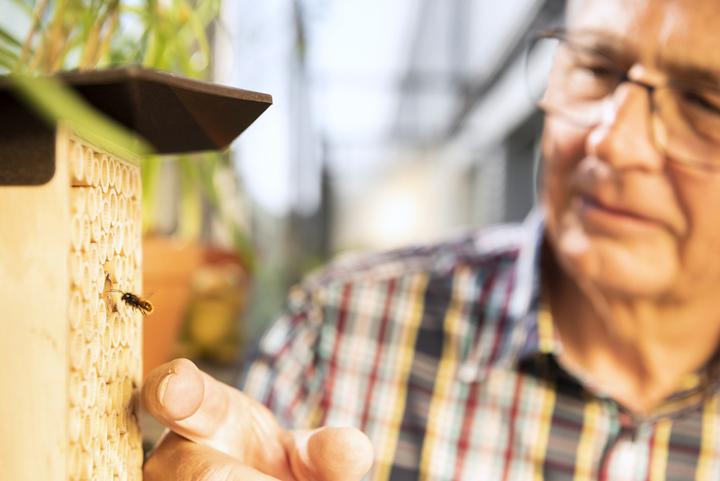 Actual product image Wildbiene BeeHome One (Wild bees)