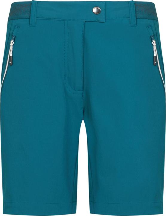 Regatta Mountain II Shorts (46 D)