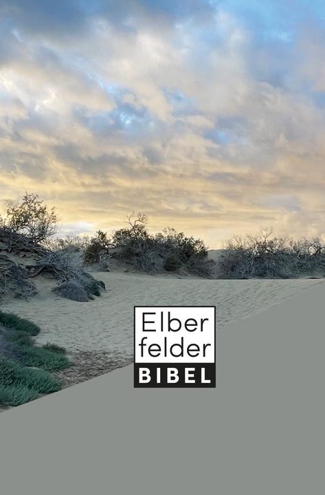 Actual product image Elberfelder Bibel - Taschenausgabe, Motiv Dünen (German, 2025)