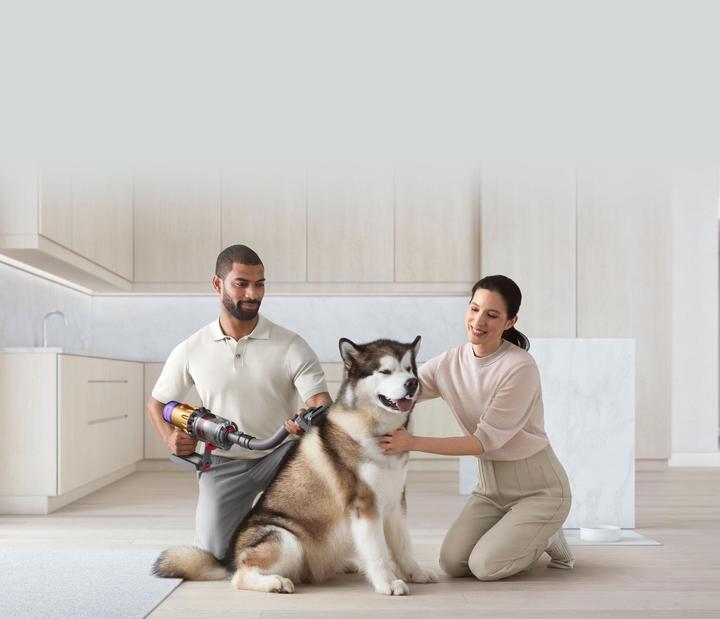 Immagine prodotto Dyson Haustierpflegeset