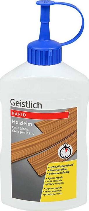 Immagine prodotto Geistlich Holzleim Rapid (560 g)