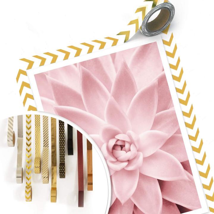 Produktbild Trenddeko Rosa Sukkulente (50 x 60 cm)