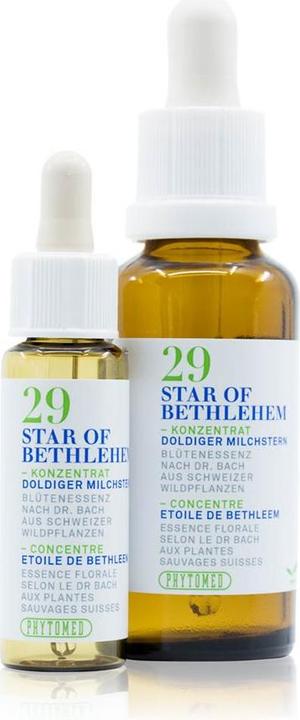 Image du produit Phytomed Bachblüten No29 Doldiger Milchstern (1 pièce(s), Liquide, 22 g)