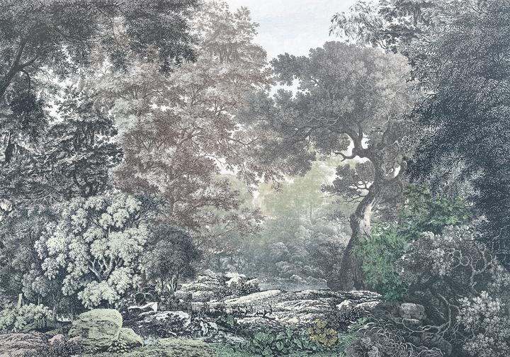 Image du produit Komar Forêt de Fairytale (400 x 280 cm)