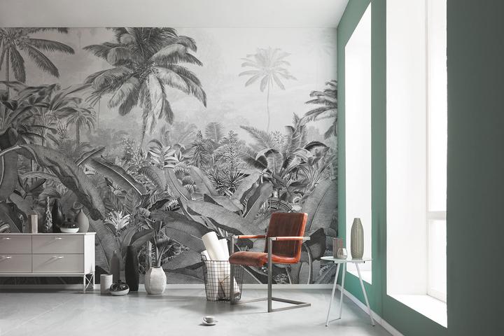 Image du produit Komar Amazonia noir et blanc (400 x 250 cm)