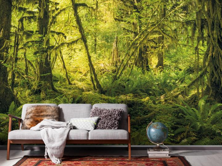 Immagine prodotto Komar Mondo antico (400 x 250 cm)