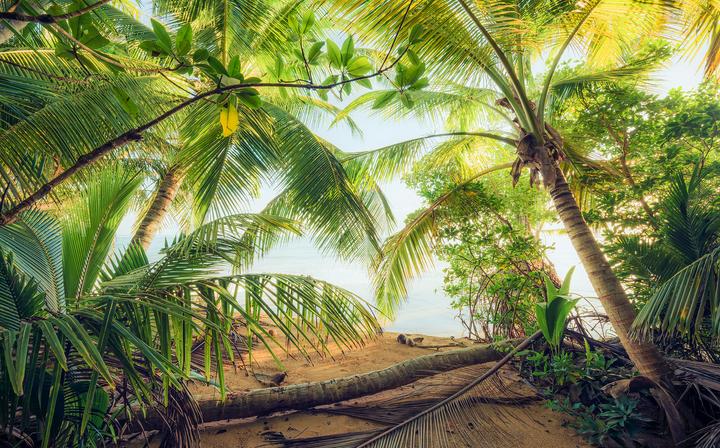 Produktbild Komar Piratenversteck (450 x 280 cm)
