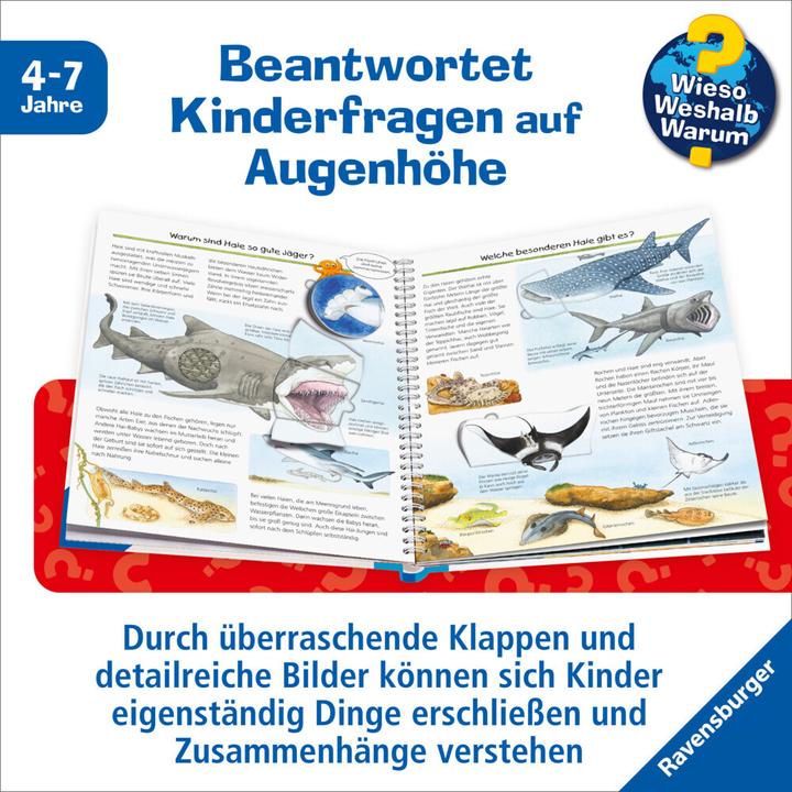 Produktbild Ravensburger Wir entdecken Meerestiere (Deutsch, Andrea Erne, 2015)