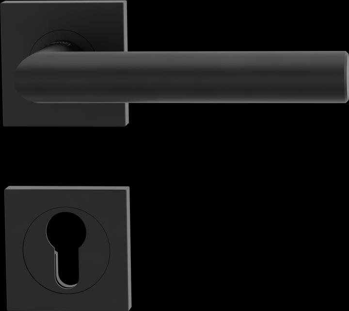 Actual product image Griffwerk Türdrücker-Grt.PZ Lucia Prof. quad. schw (Door handle)