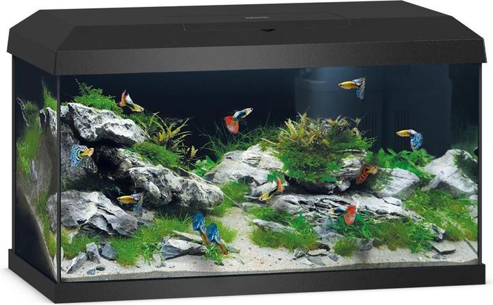 Juwel Aquarium Primo 2.0. (57 l)