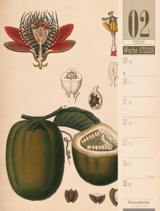 Produktbild Culinarium - Küche, Kräuter, Kurioses - Vintage Wochenplaner Kalender 2026 (25 x 33 cm, Harter Einband, Deutsch)