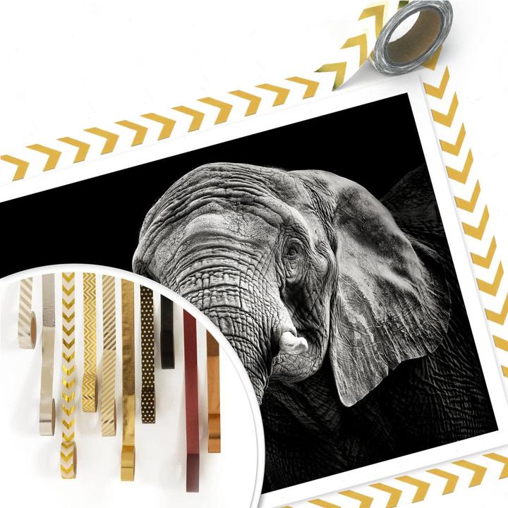 Immagine prodotto Trenddeko L'elefante (50 x 40 cm)