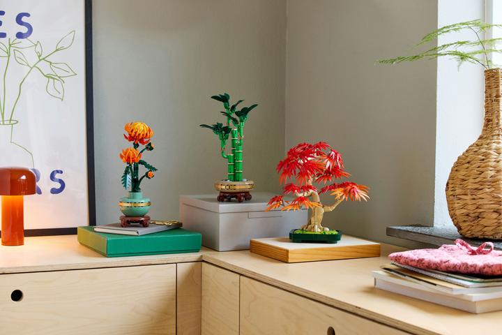 Actual product image LEGO Japanischer Roter Ahorn - Bonsai-Baum (10348, LEGO Botanical)