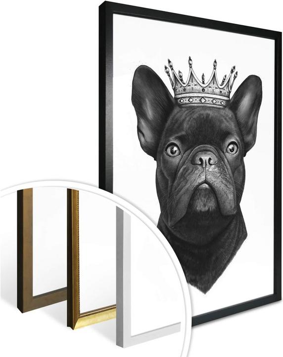 Produktbild Trenddeko King French Bulldog (40 x 50 cm)