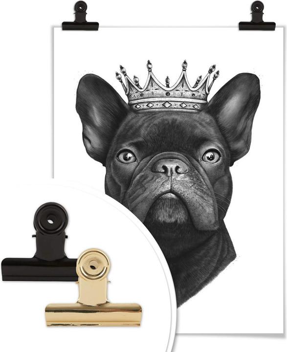 Produktbild Trenddeko King French Bulldog (40 x 50 cm)